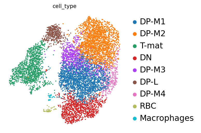 Annotated cell types. 